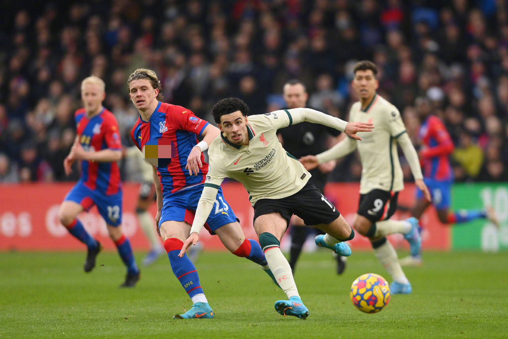 适合皇马似 适合皇马似